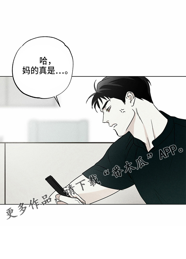 第50章：疯子28