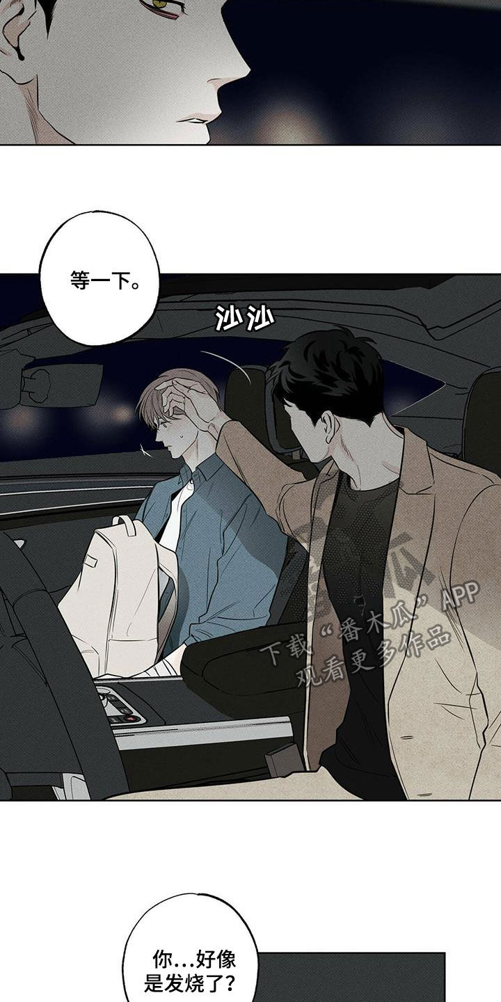 第32章：发烧11