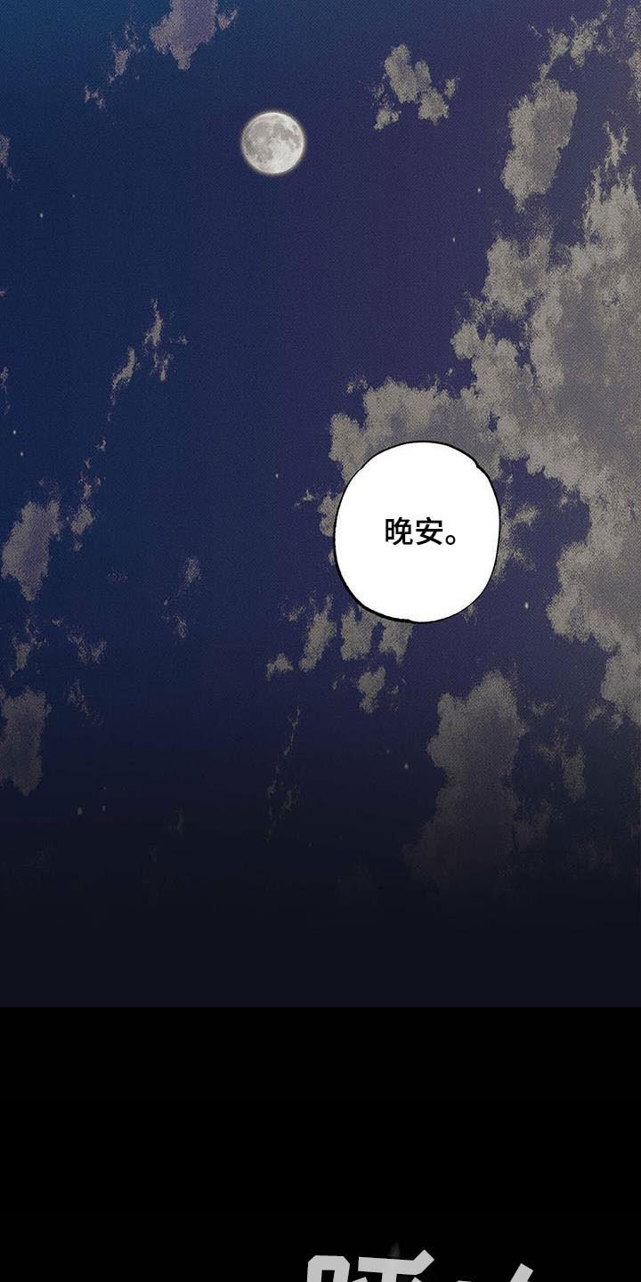 第3章：繁忙的生活15