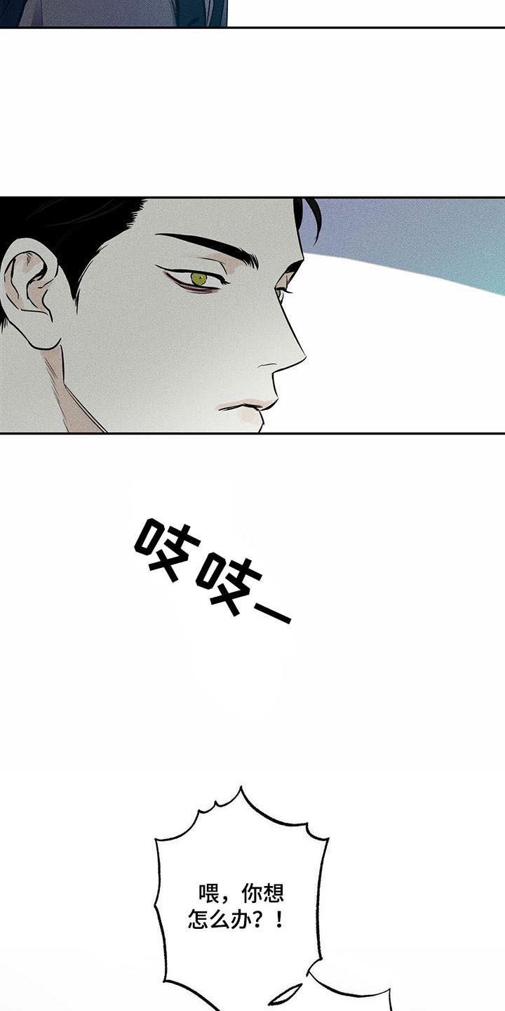 第12章：突遇车祸17
