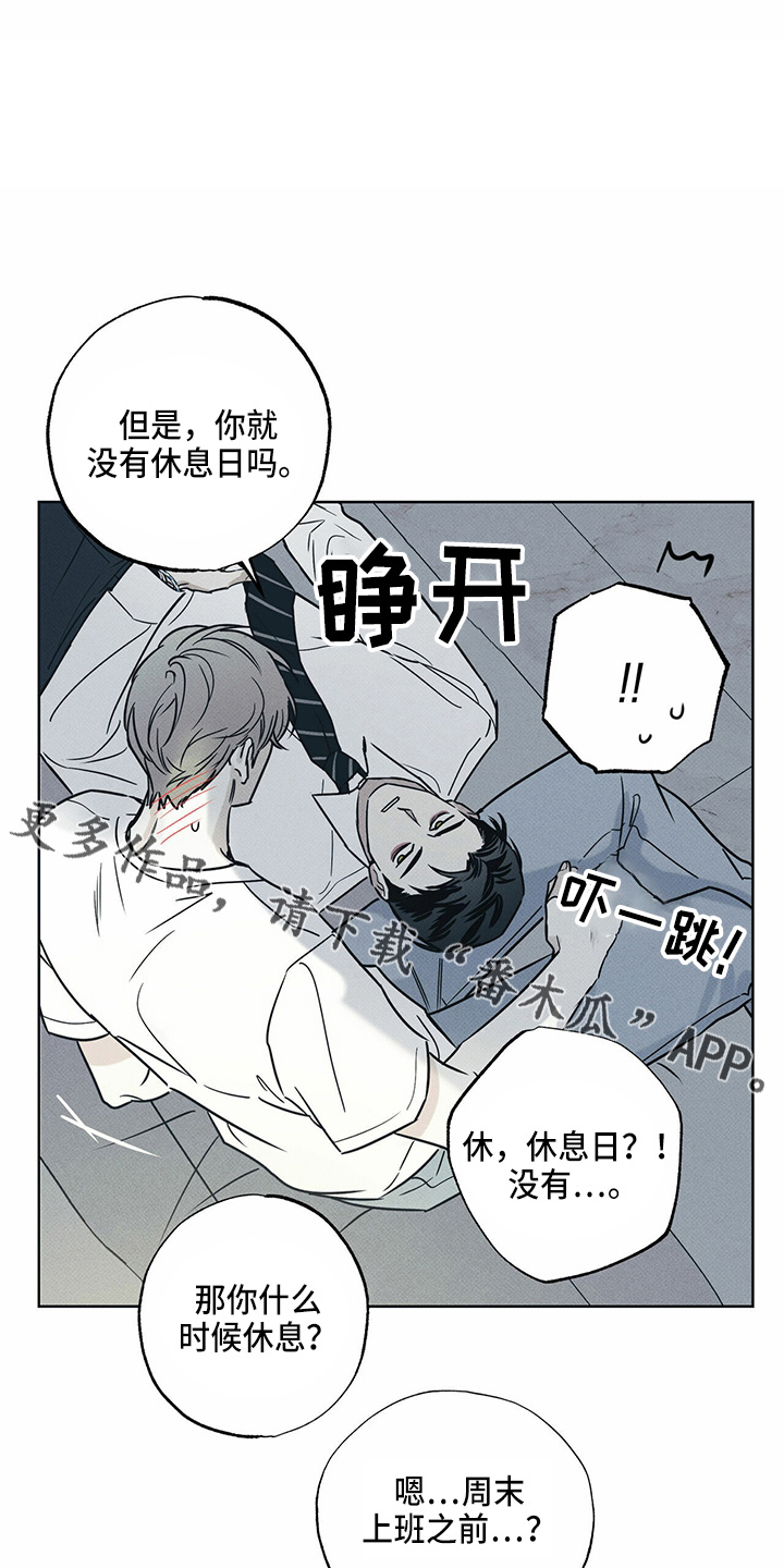 第54章：来了16