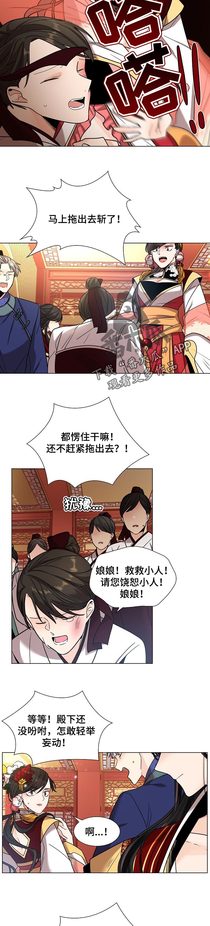 第22章：尊贵的女人5