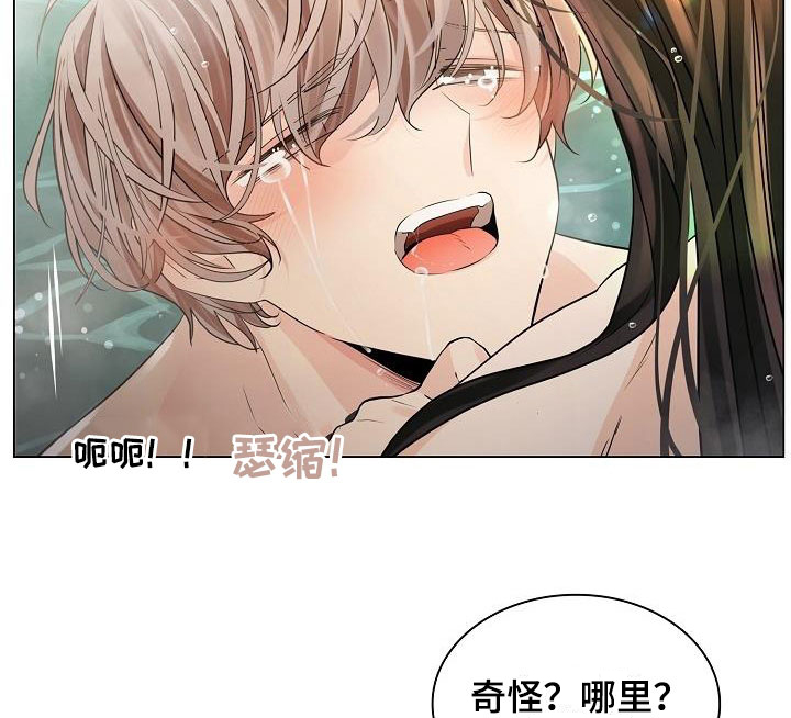 第83章：【第二季】哪里奇怪13
