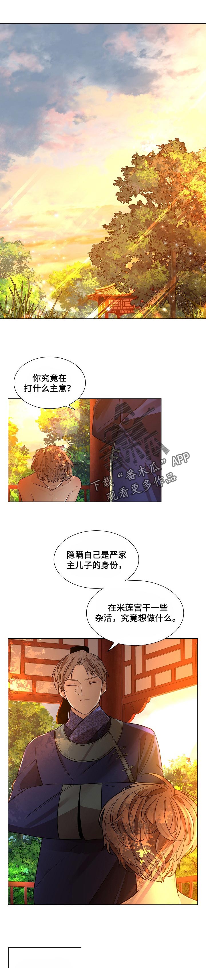 第29章：愚蒙又可悲的人0