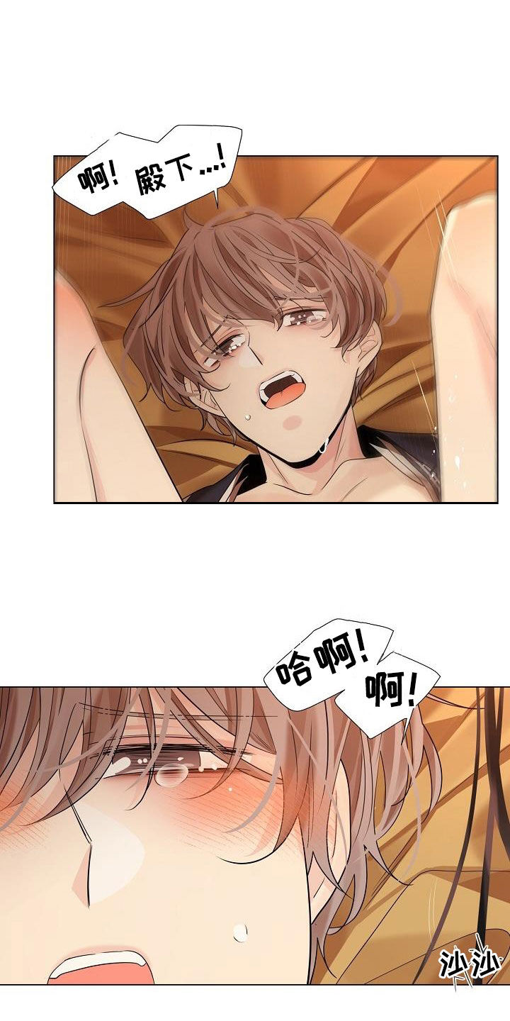 第116章：【第二季】学骑马10