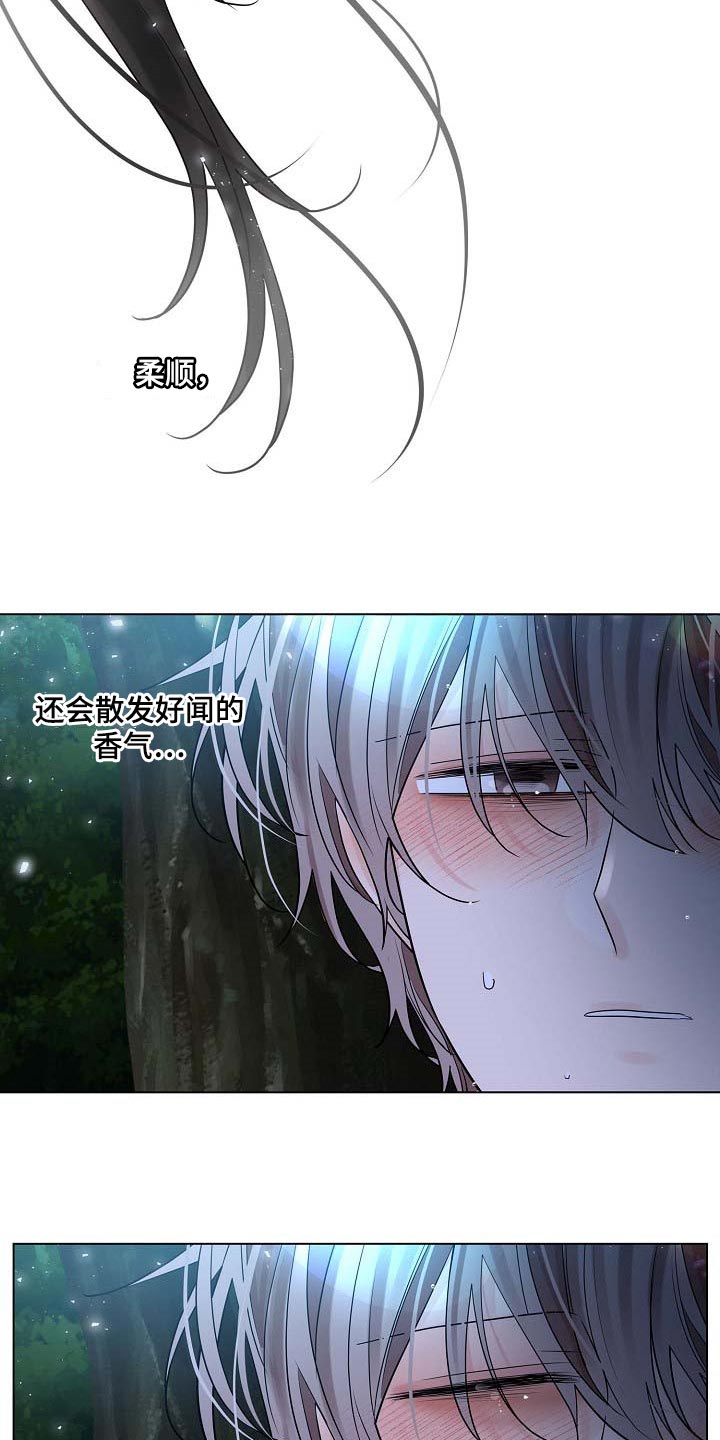 第42章：好闻的香气14