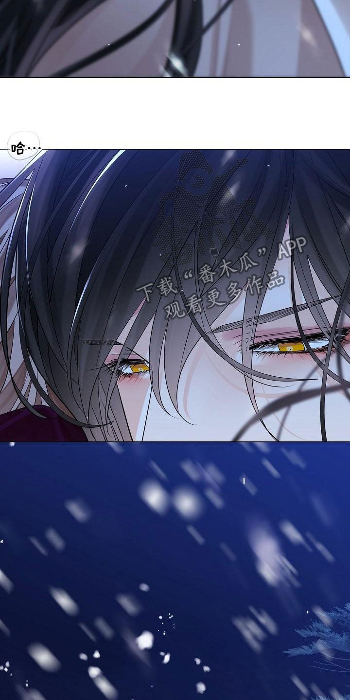 第66章：【第二季】雪夜40
