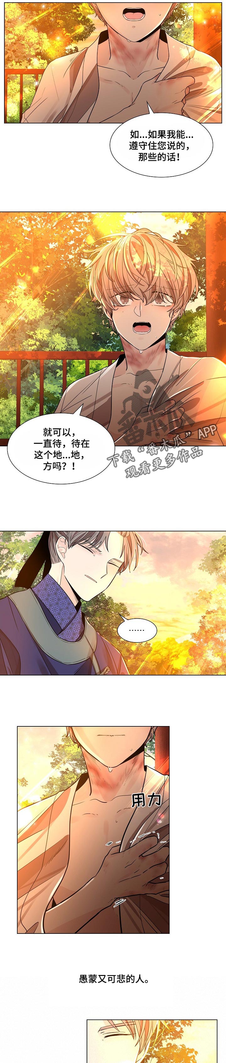第29章：愚蒙又可悲的人3