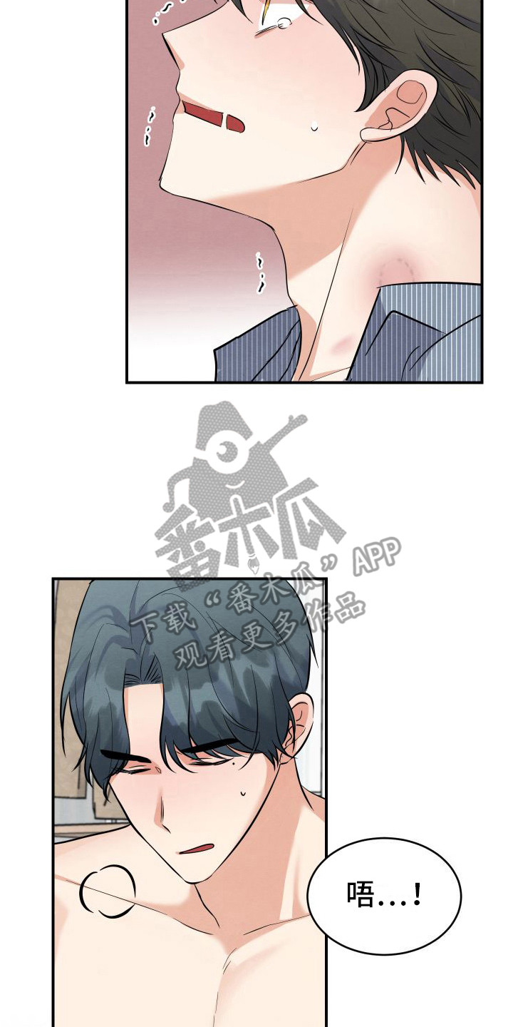 第6章：疼痛  14