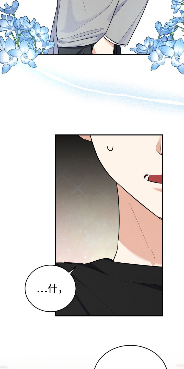 第1章：信息素19