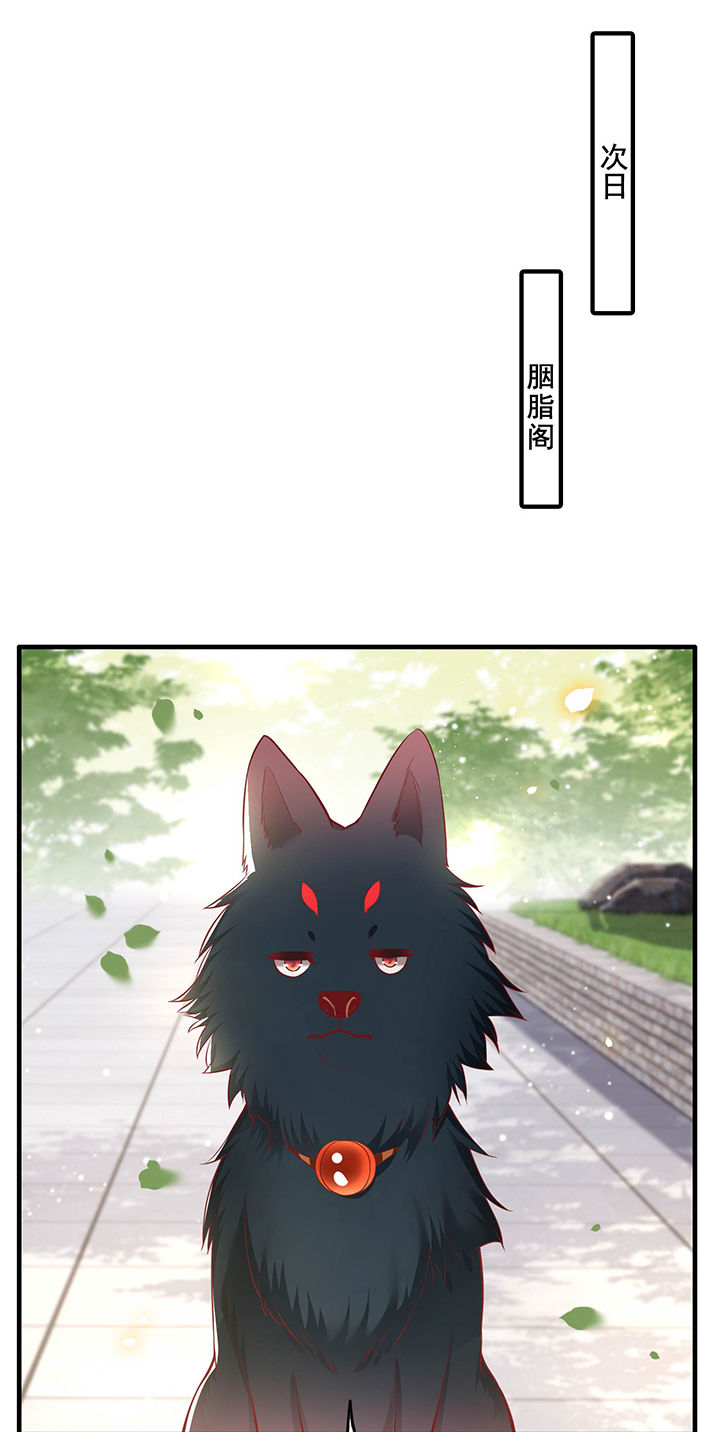 第69章：老娘非北阴不嫁19
