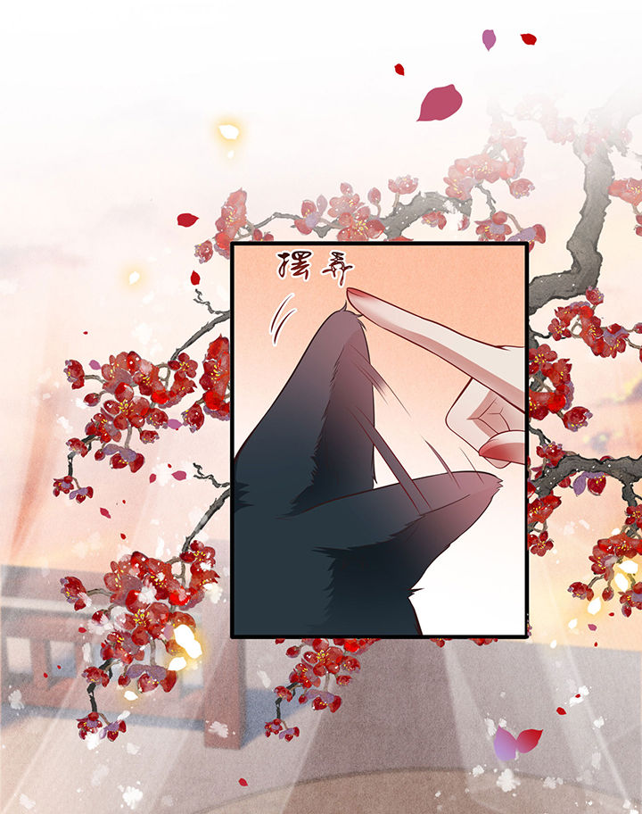 第71章：本宫答应嫁给你了吗？！0
