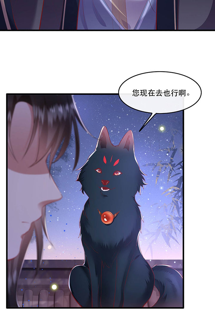 第69章：老娘非北阴不嫁12