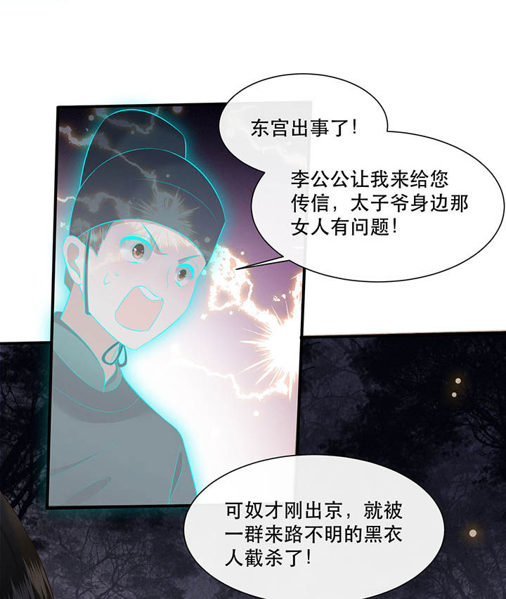 第108章：东宫出事了！22