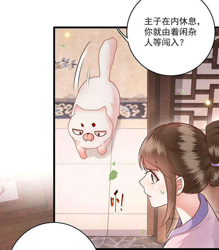 第13章：把狗牵到主人面前打2