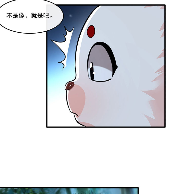 第55章：淡雪与桃香的宿命40
