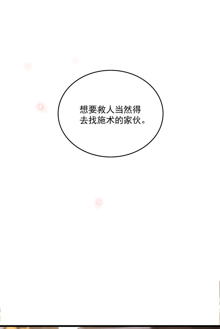 第21章：解铃还须系铃人26