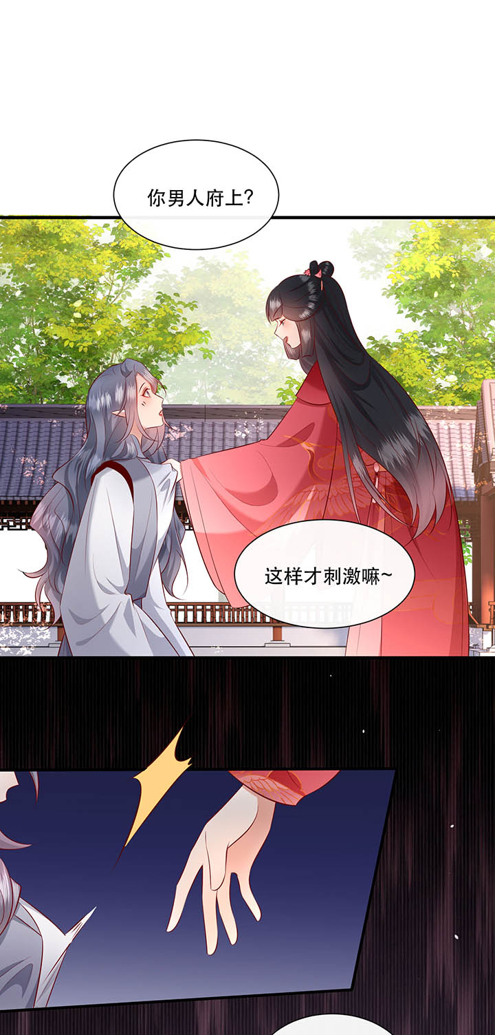 第156章：夜会摄政王府21