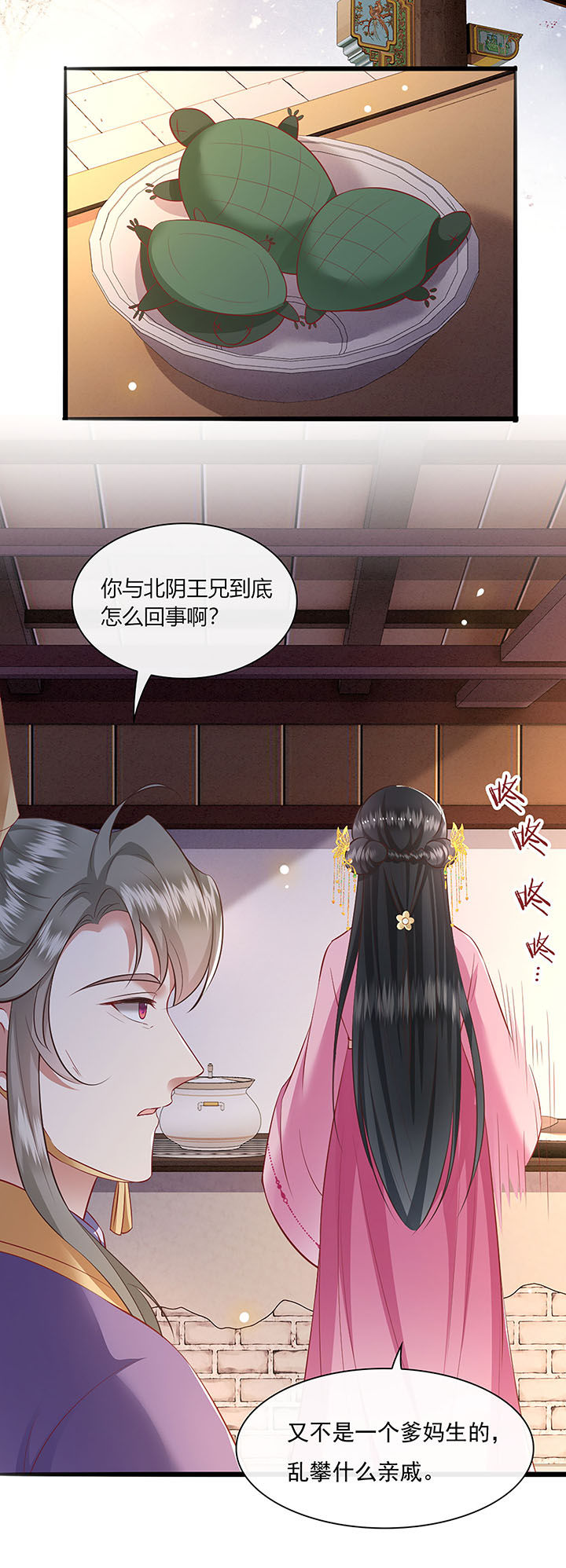 第123章：本公主给你做老鳖汤24