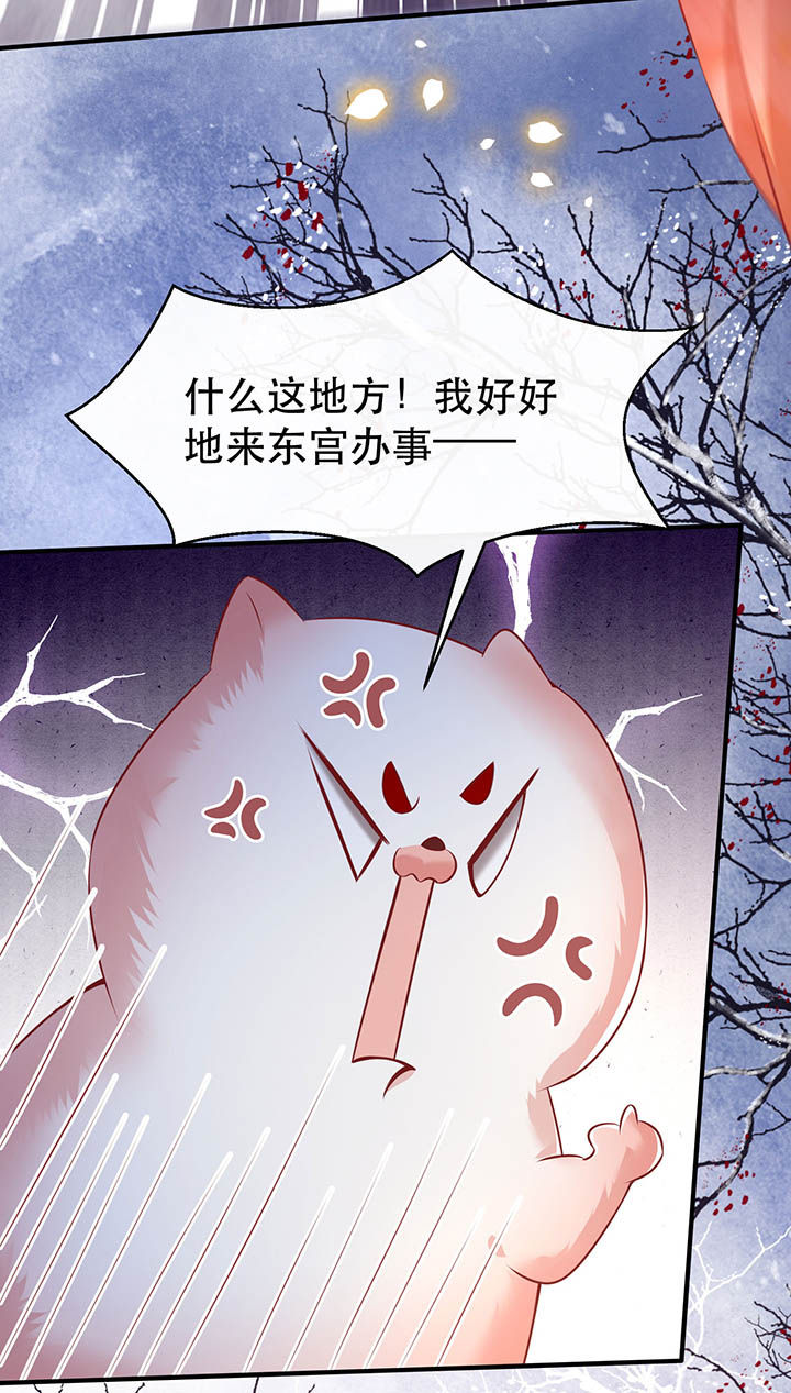 第129章：竟然还活着！13