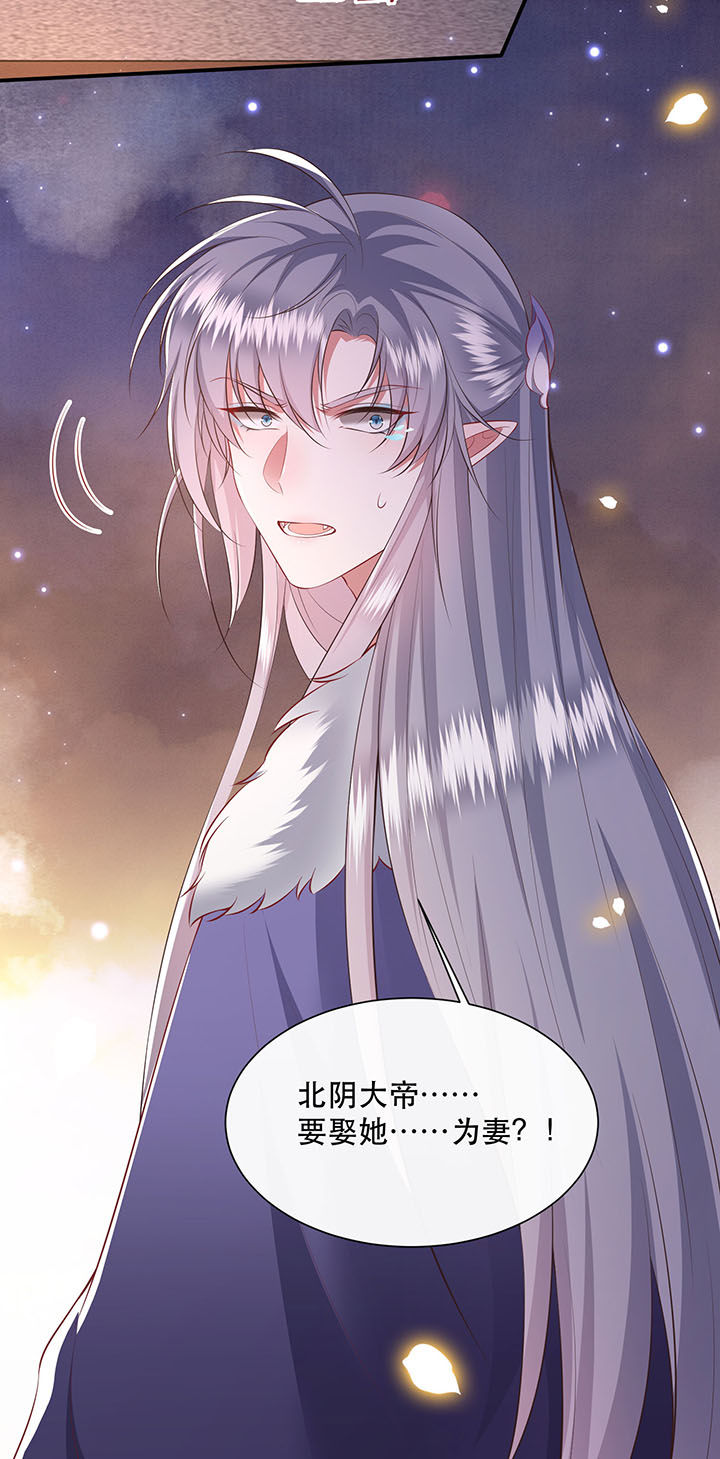 第126章：求个婚告昭六界？！27
