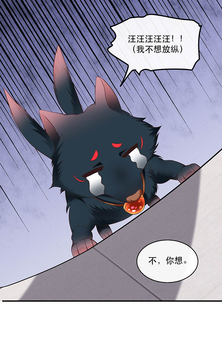 第53章：放你出去，一日放纵33