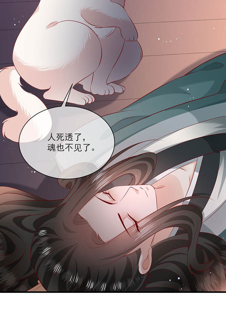 第167章：大型精分现场10