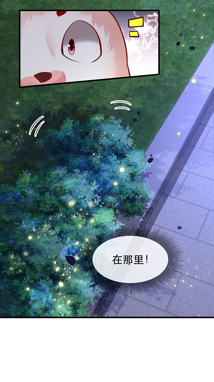 第71章：本宫答应嫁给你了吗？！35