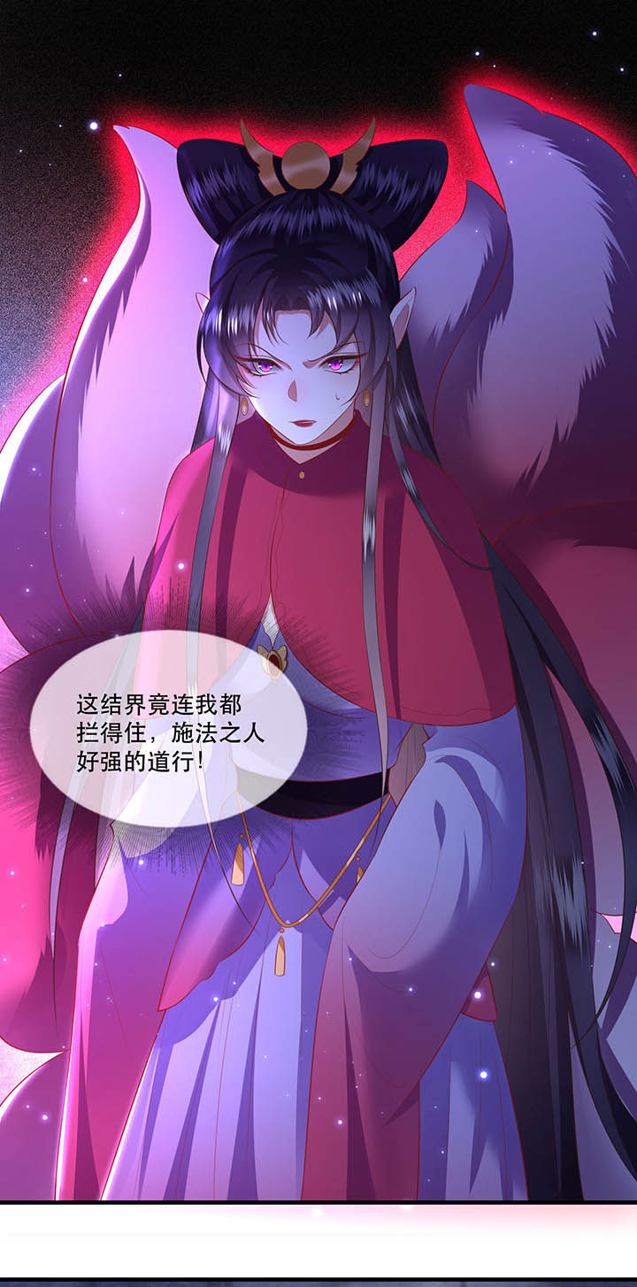 第128章：你这只蠢狐狸20