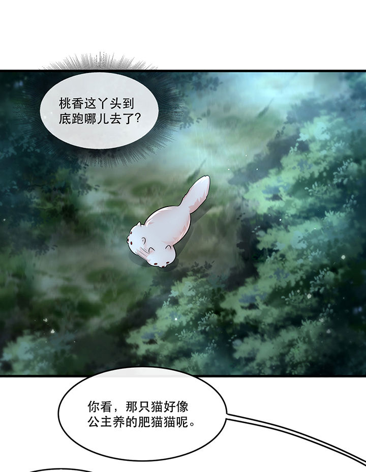 第55章：淡雪与桃香的宿命39