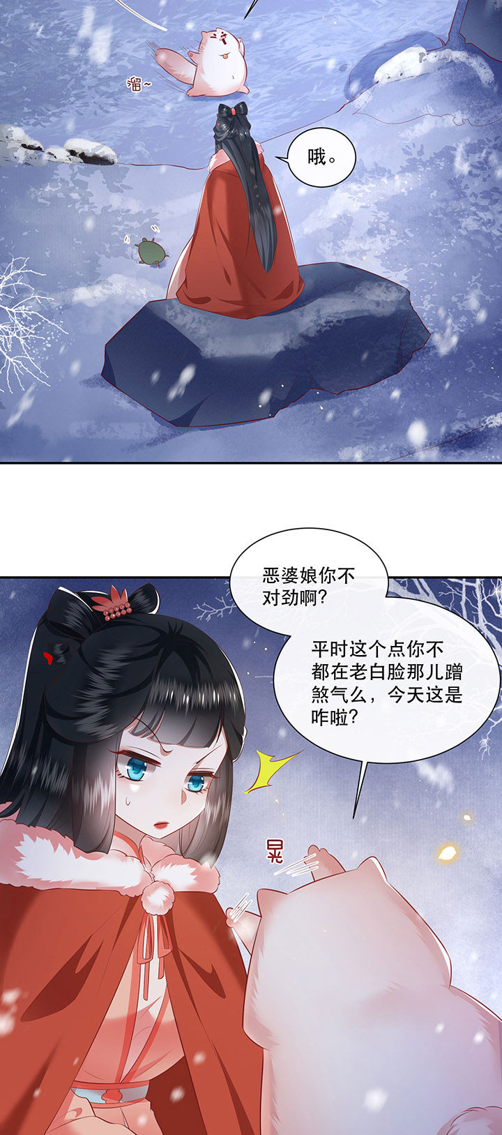 第114章：是喜欢还是崇拜？13