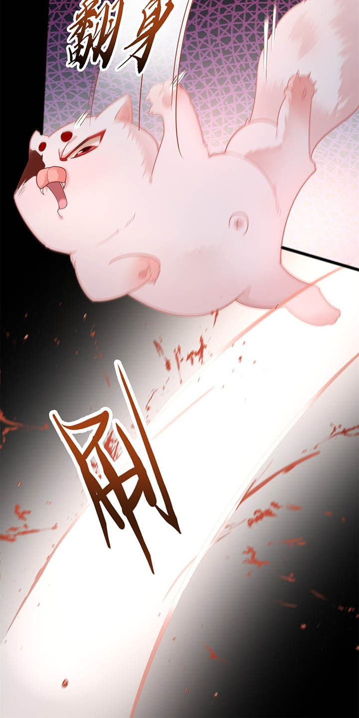 第7章：还搁这哔哔赖赖23