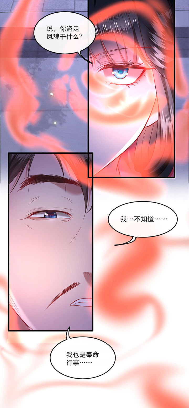 第66章：我也没下死手啊13