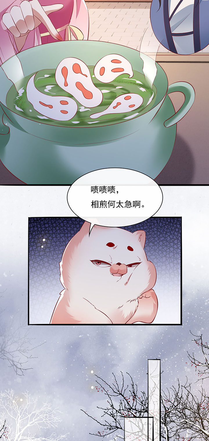 第123章：本公主给你做老鳖汤11
