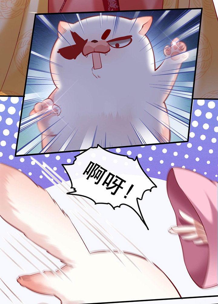 第54章：学会给主人捡东西了！27