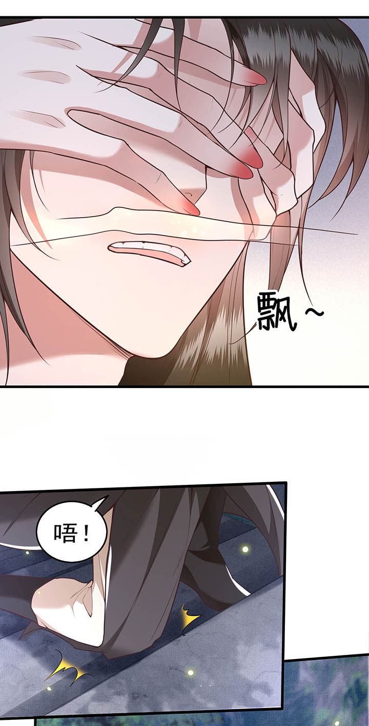 第29章：臣忽感不适，劳烦公主搀着17