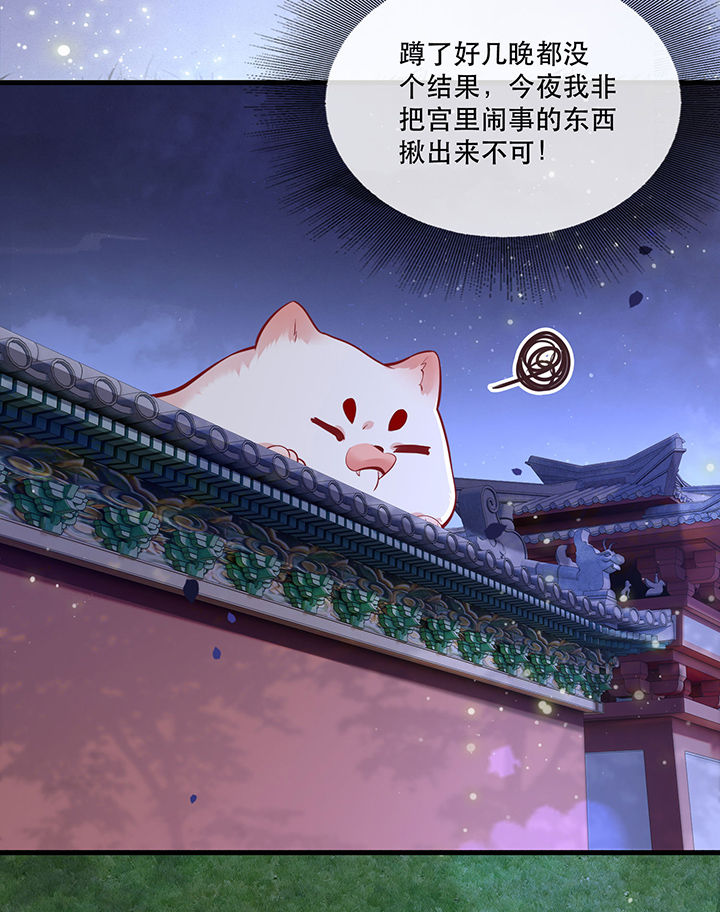 第71章：本宫答应嫁给你了吗？！34