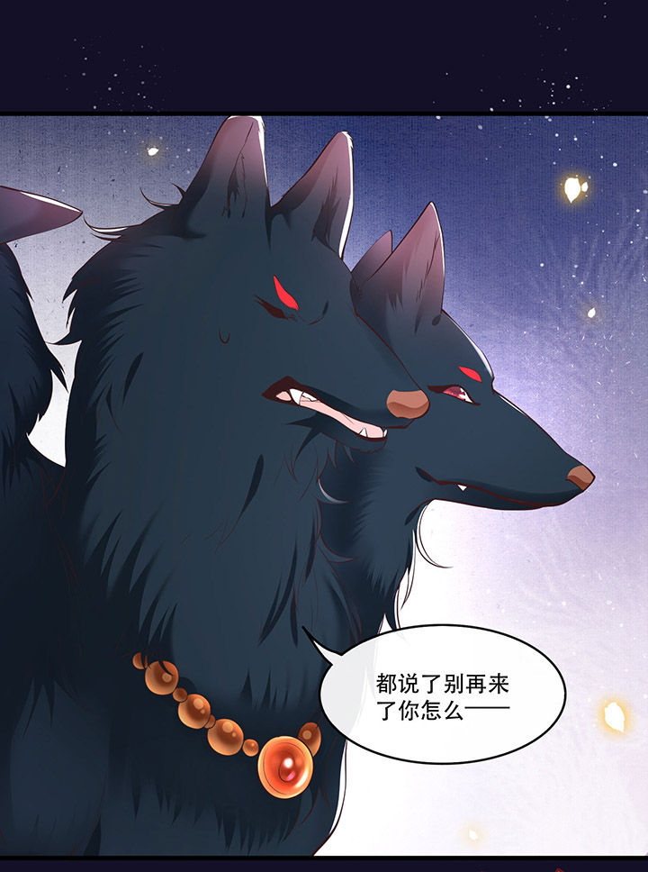 第60章：年复一年的功德珠19