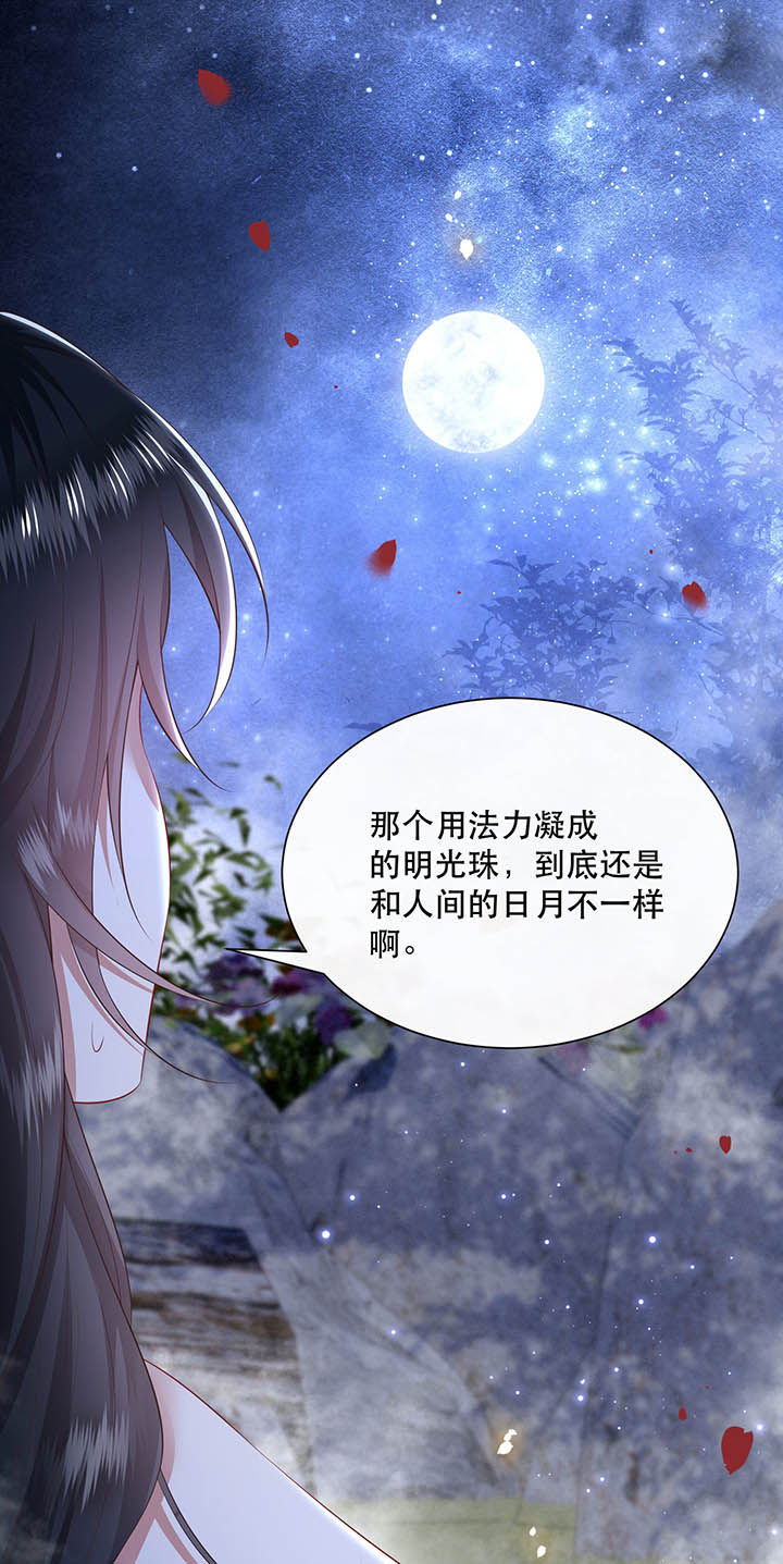 第128章：你这只蠢狐狸12