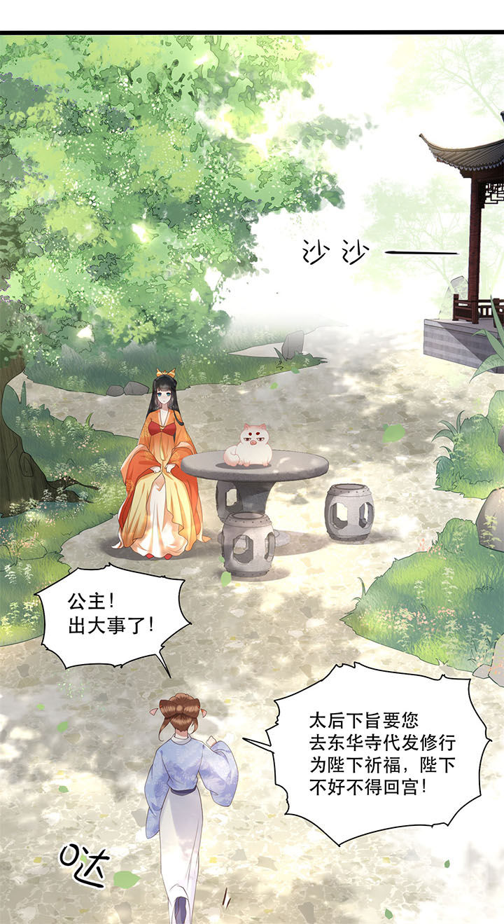 第18章：去请教你的狗头军师18