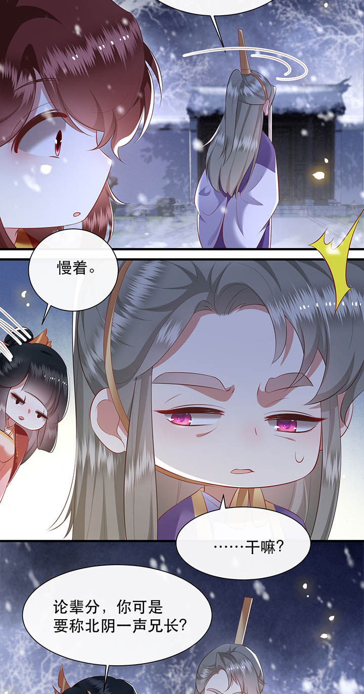 第119章：好一个北阴啊！34