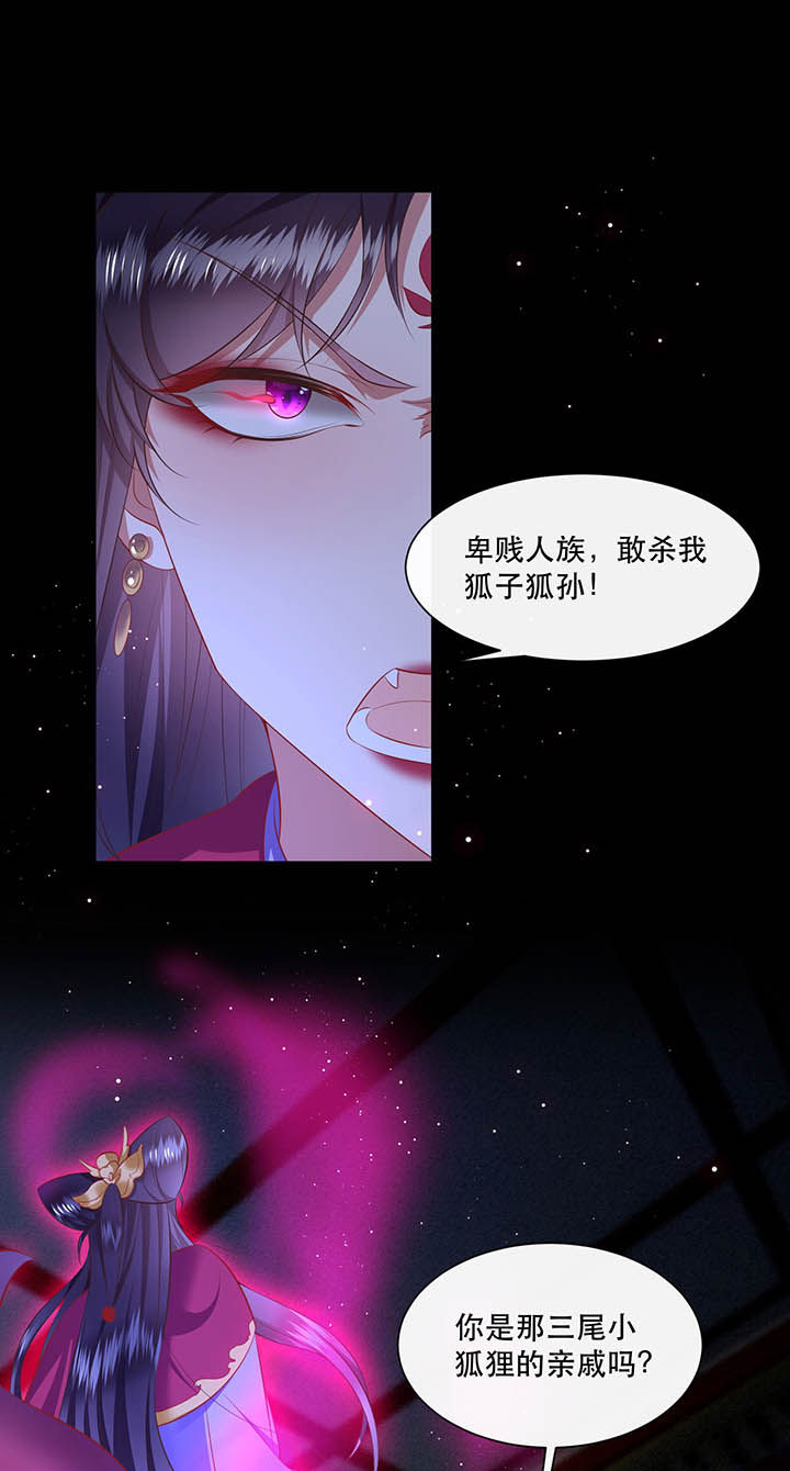 第128章：你这只蠢狐狸5