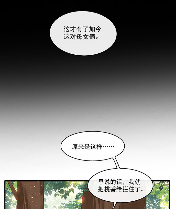 第55章：淡雪与桃香的宿命24