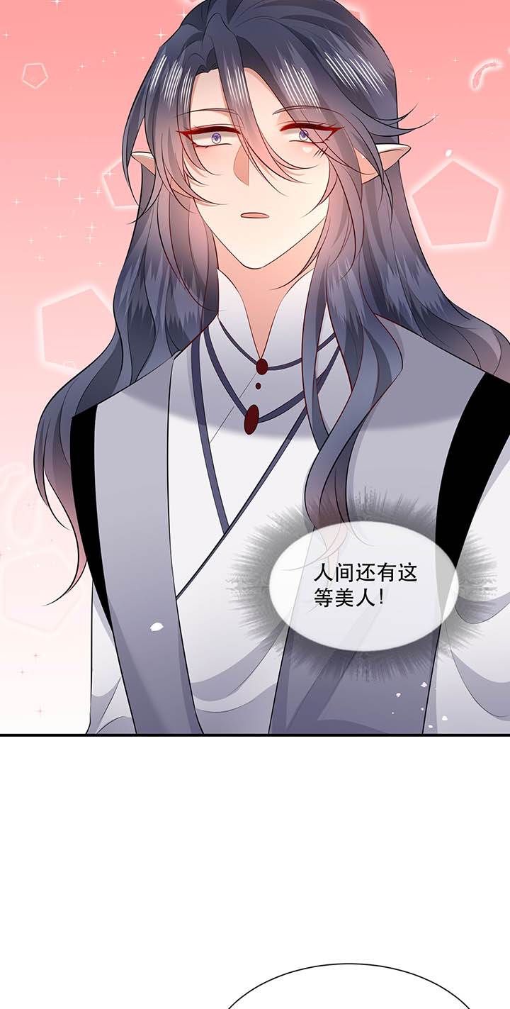 第156章：夜会摄政王府11