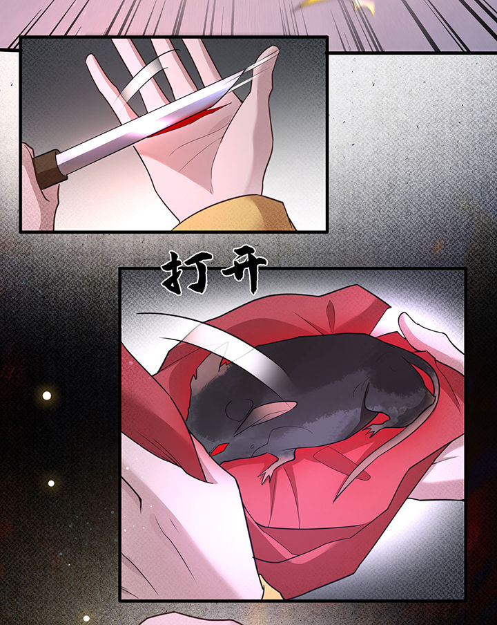 第33章：赶紧把那只猫精收拾了！_18