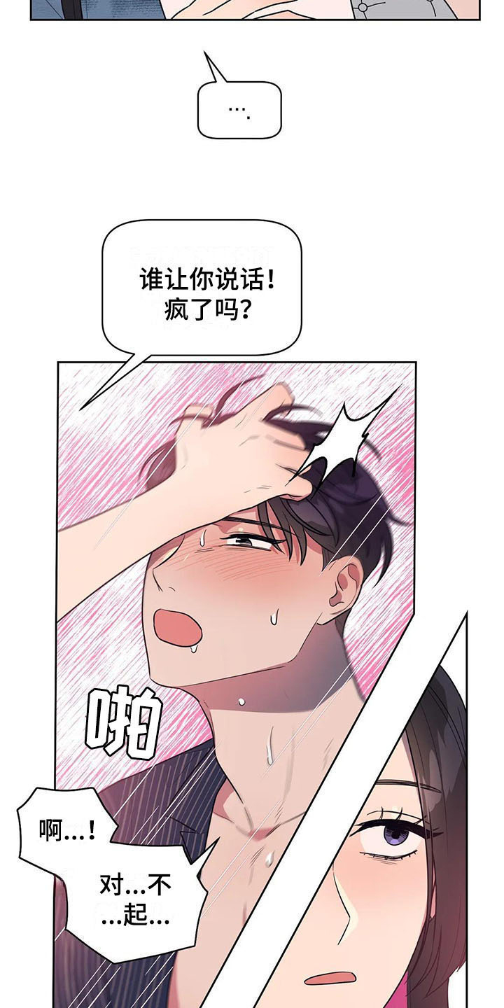 第19章：介绍5