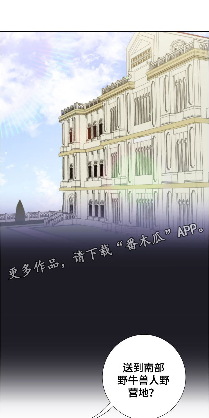 第11章：震惊0