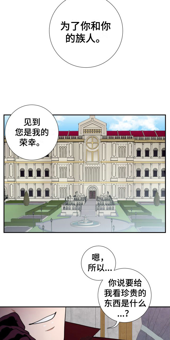 第6章： 亲眼所见15