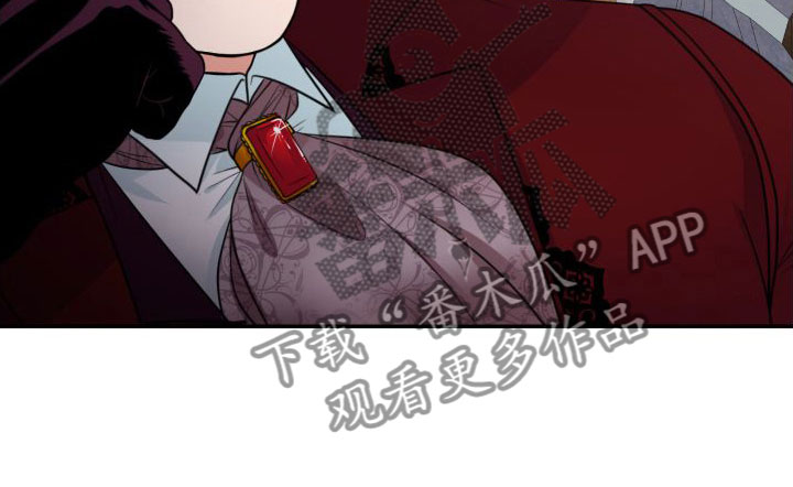 第6章： 亲眼所见16