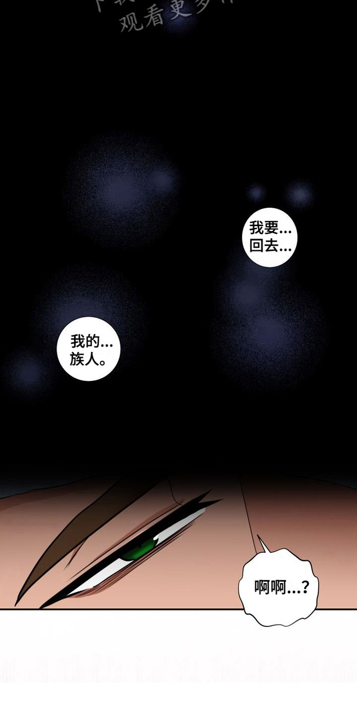 第9章：晕倒13